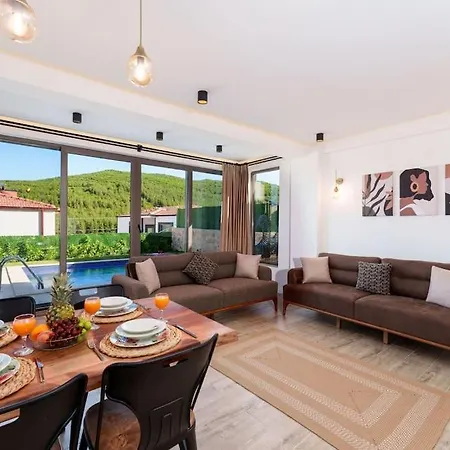Brown Villa *